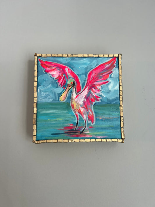 Spoonbill in Florida